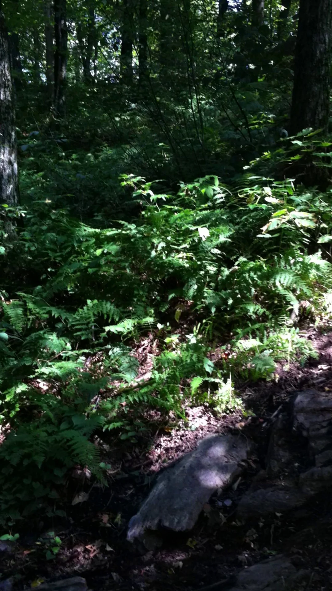 Bakersfield, VT on Vimeo