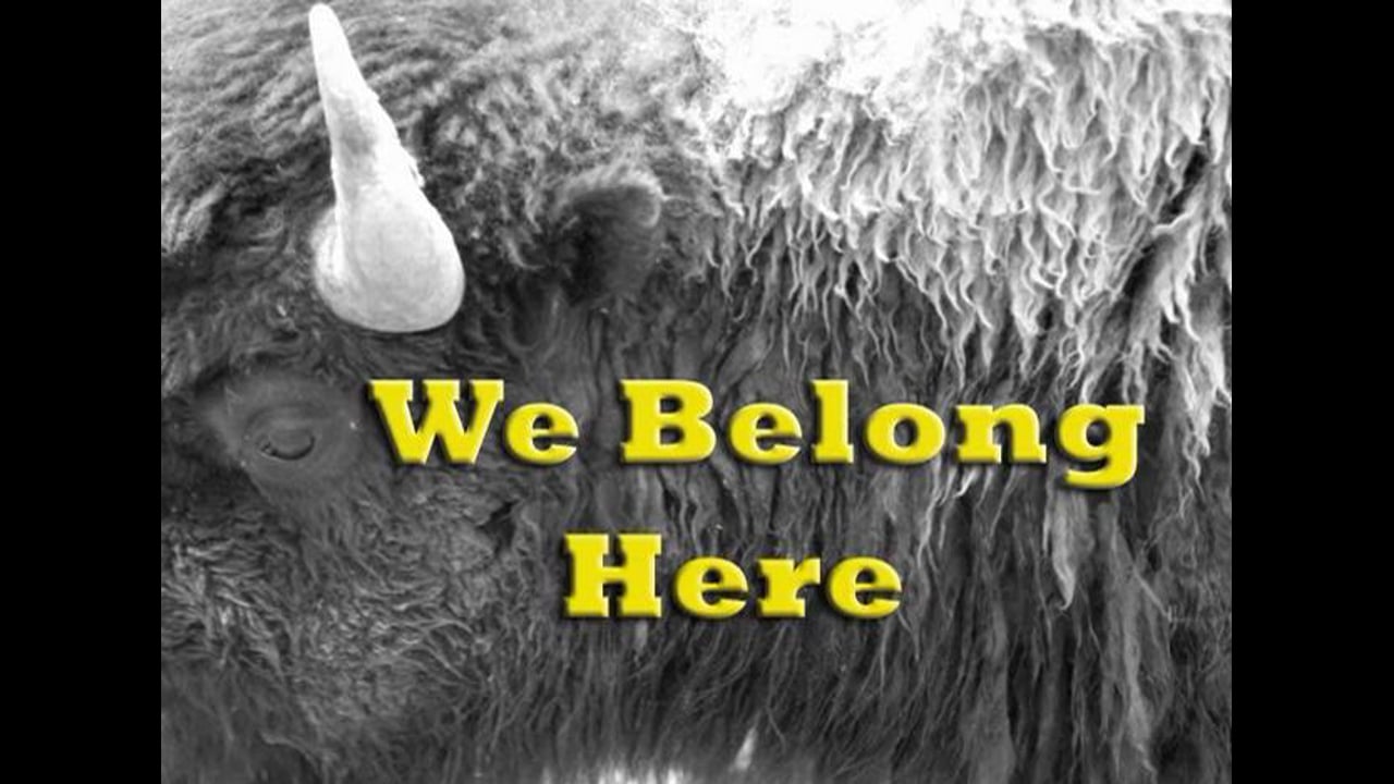 We Belong Here -- Good Shield Aguilar