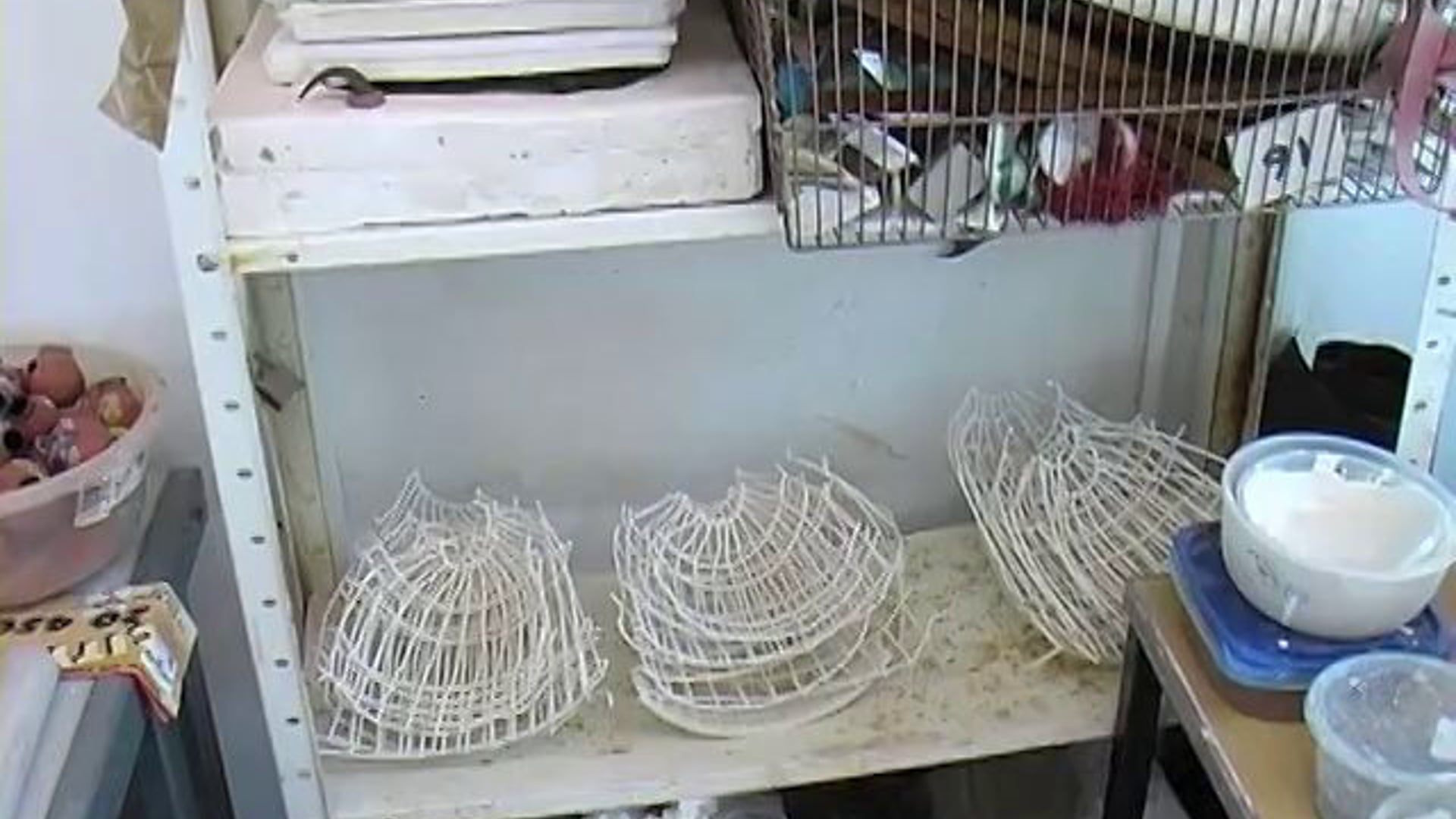 Curation - Space as an Aesthetic Property: Anna Rafferty BA Ceramics UWIC 2010