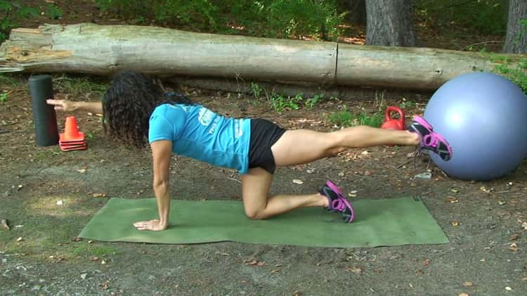 Quadruped Opposite Arm Leg Extensions