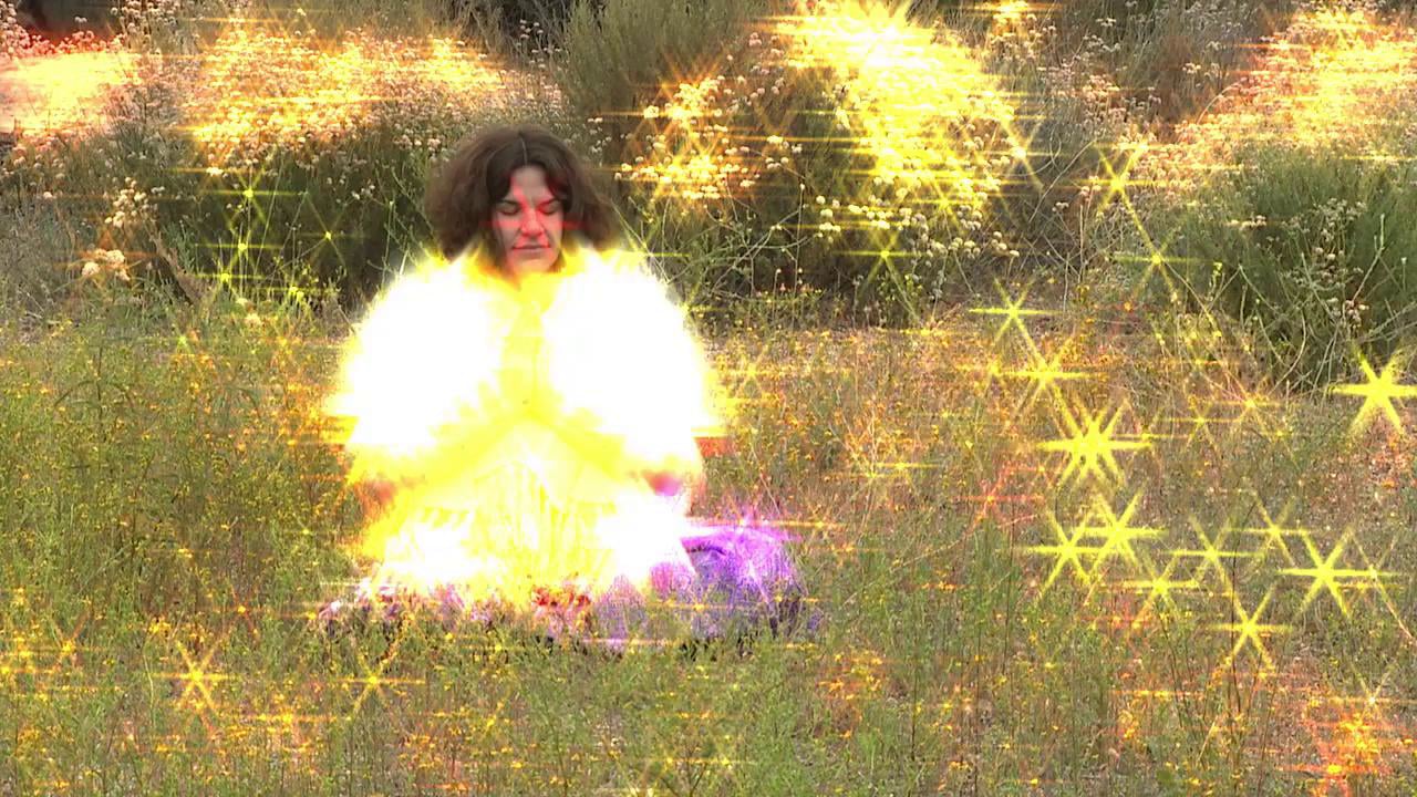 K9 Daydreams of Sirius the Dog Star