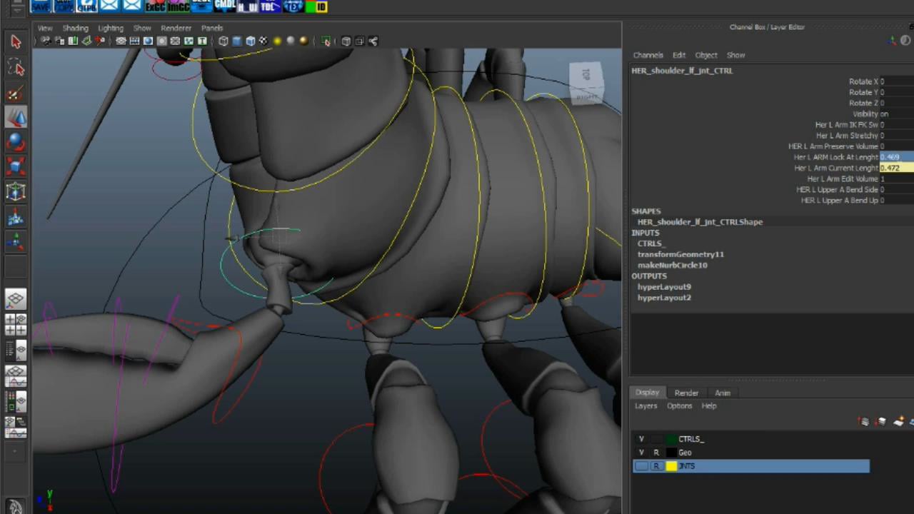 hermit_rig