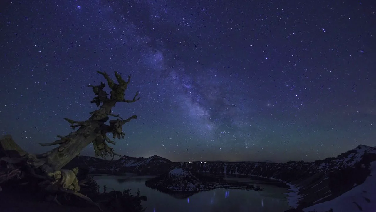 Purely Pacific Northwest