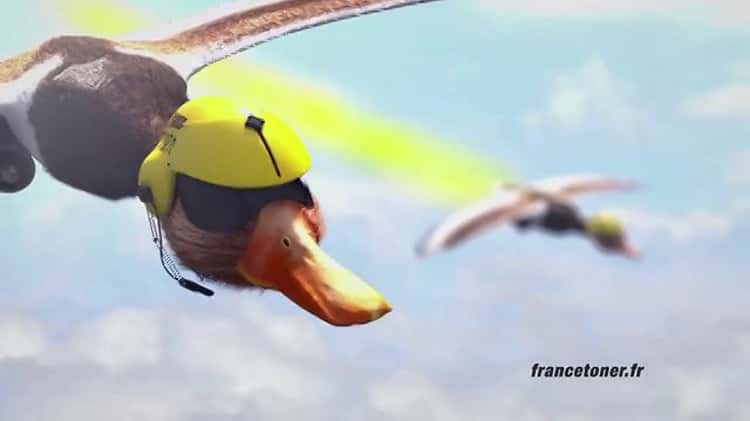 France Toner on Vimeo