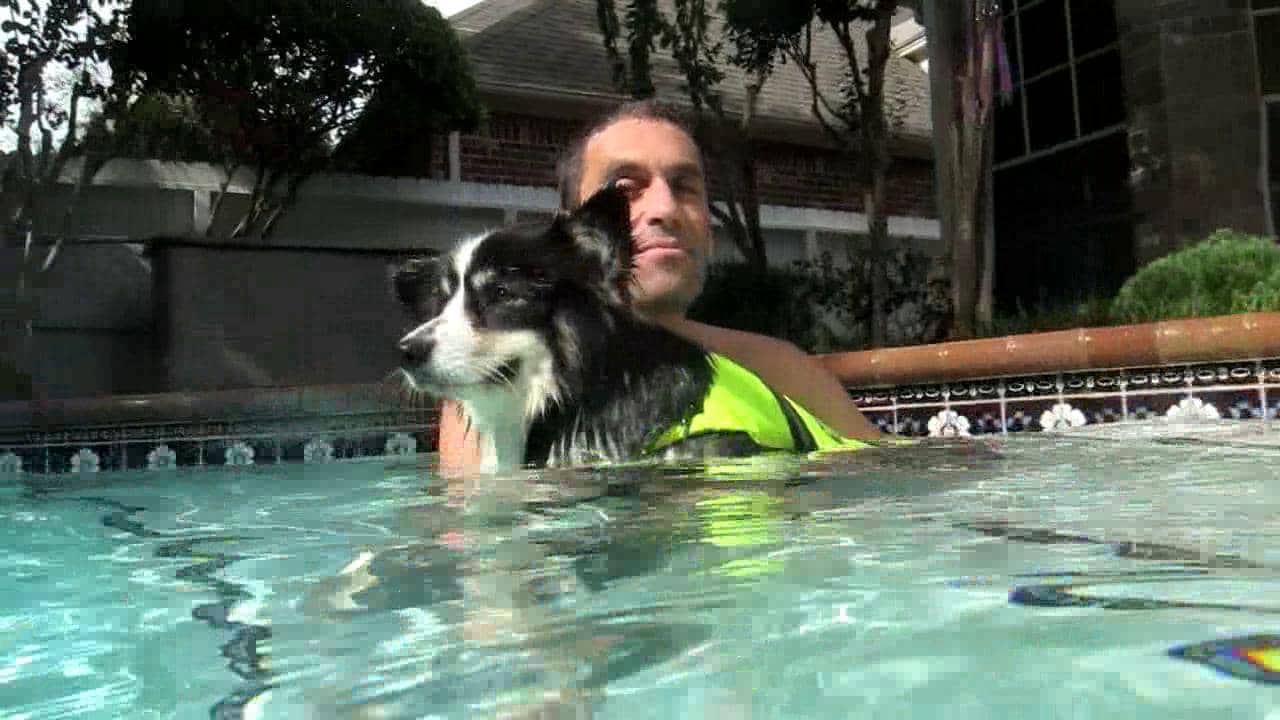 Pudge Swims on Vimeo