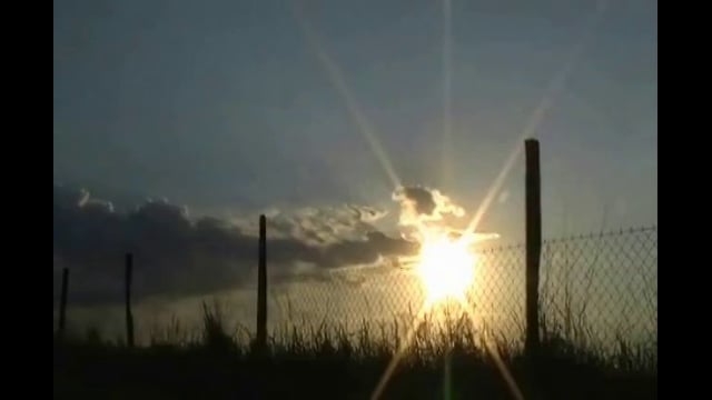 summer (2012)