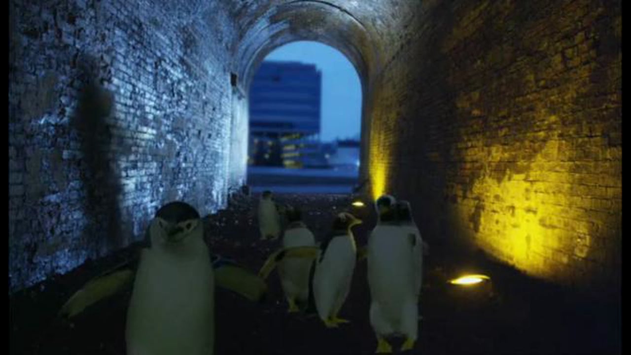 “Mission Hoppable” for Newport Aquarium