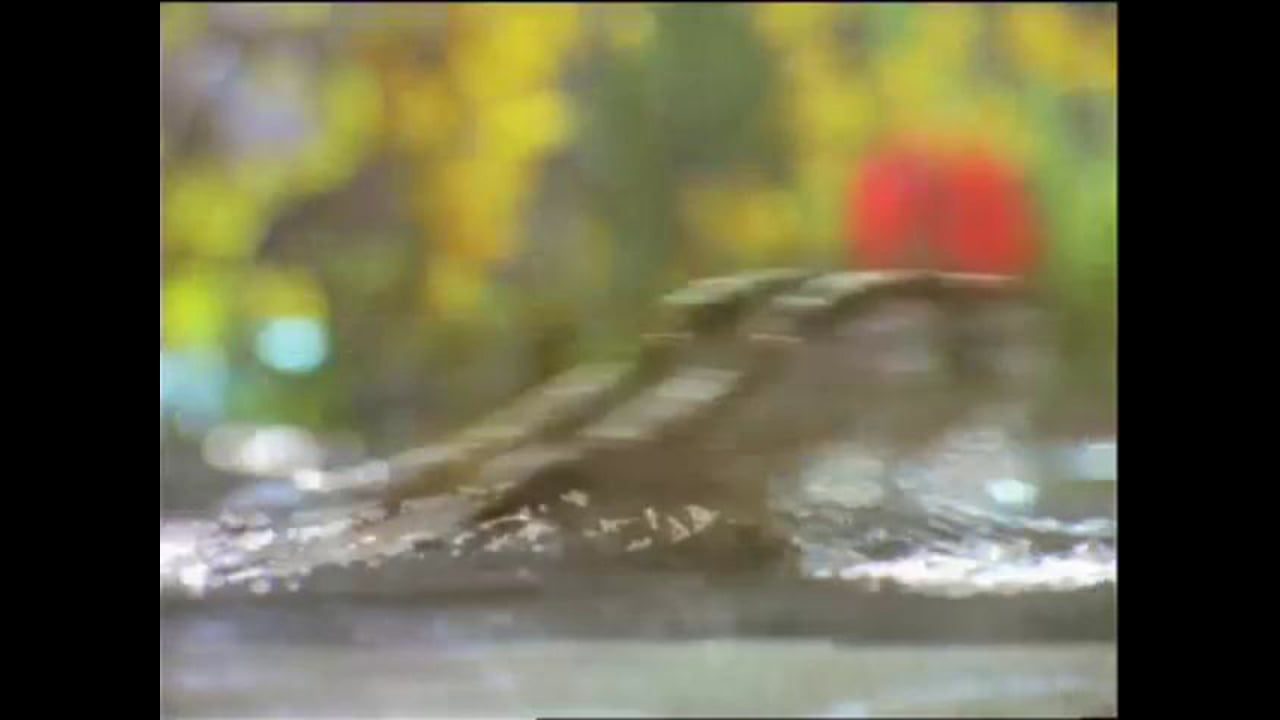 “Otters” for Newport Aquarium