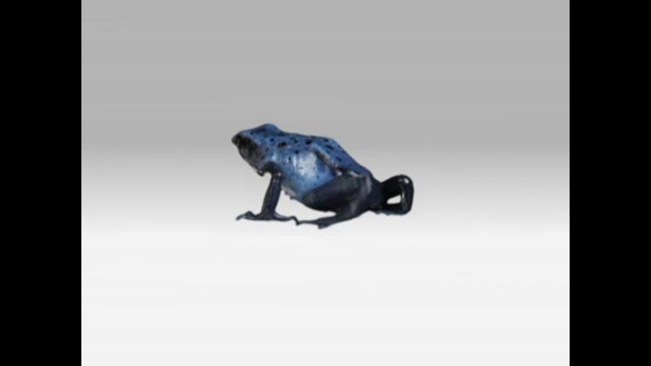 “Metamorphosis” for Newport Aquarium