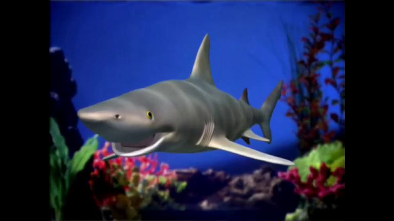 “Pet Me” for Newport Aquarium