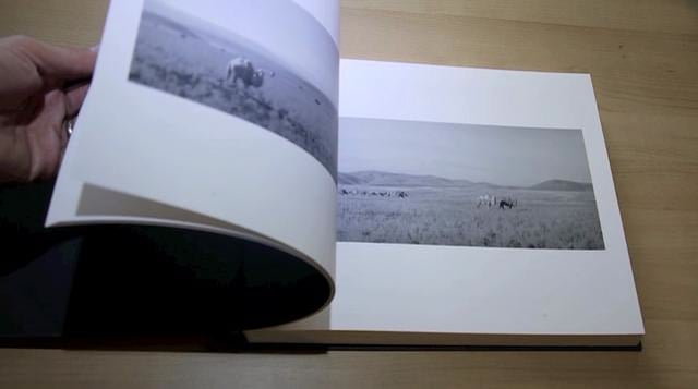 Here Far Away by Pentti Sammallahti