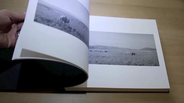 Here Far Away by Pentti Sammallahti | Videos & Movies on Vimeo