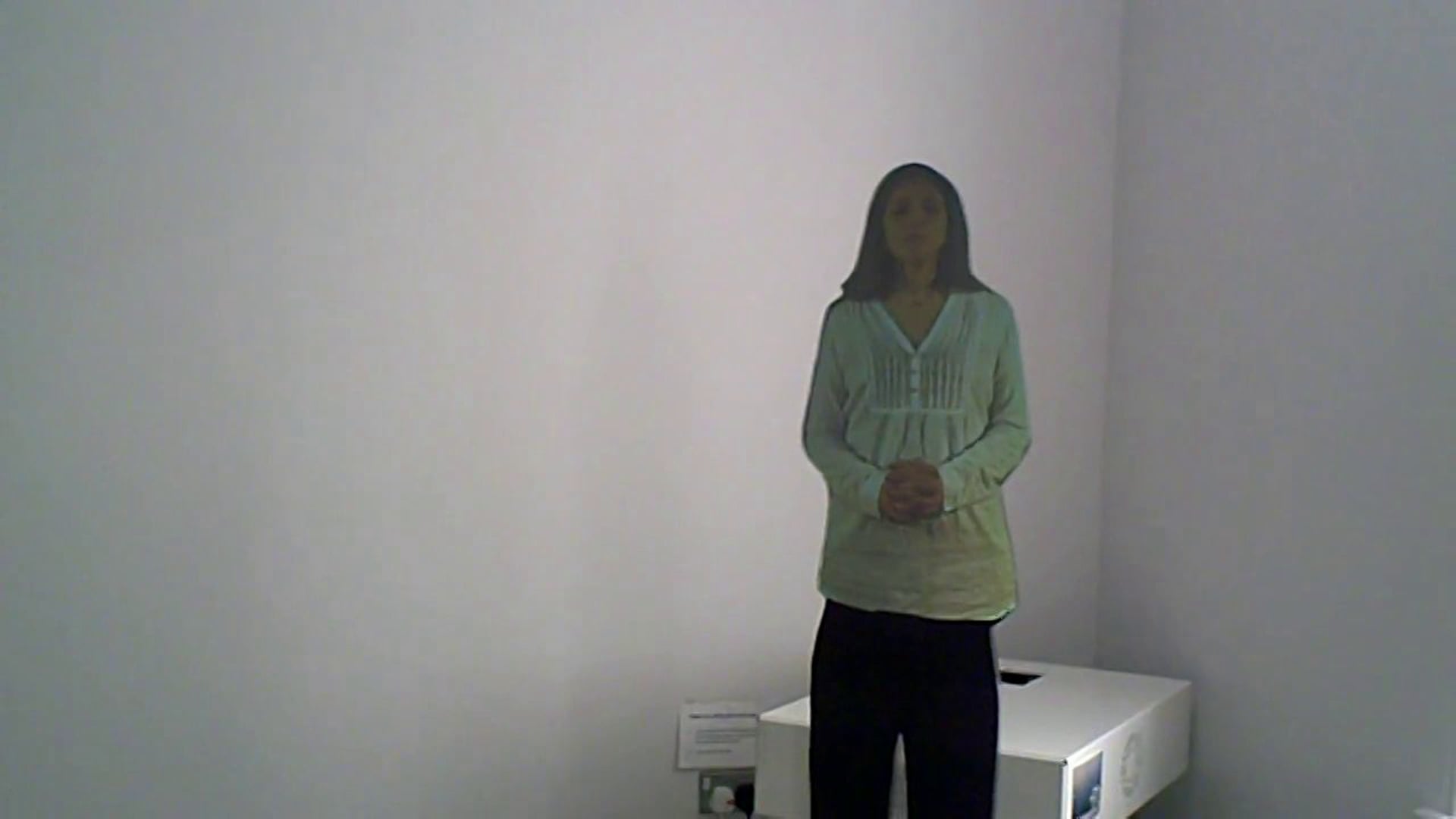 Virtual Performer