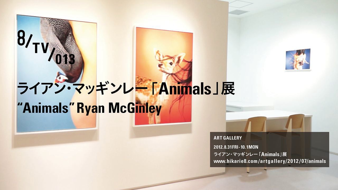 8/TV/013 ライアン・マッギンレー「Animals」展