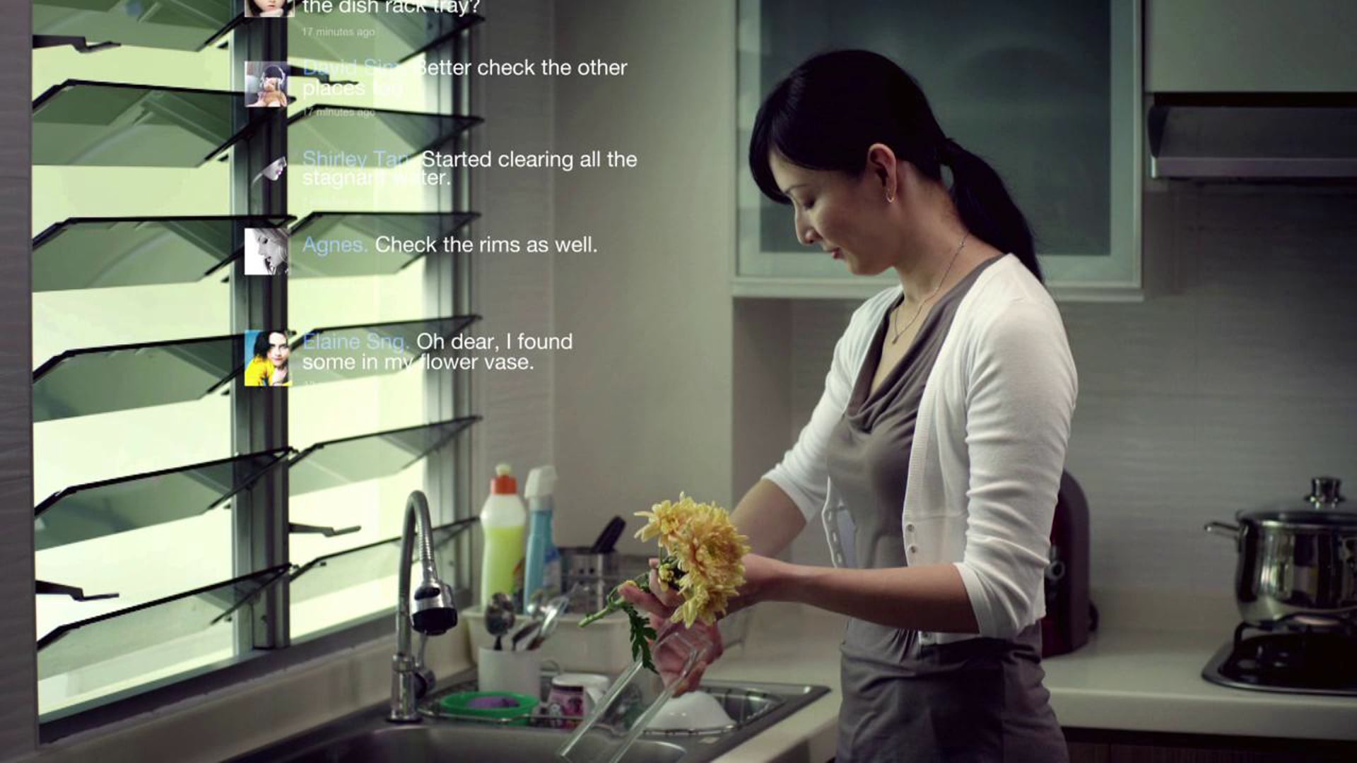 Dengue Prevention TV Commercial  - for National Environment Agency 2012