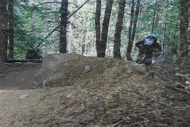 Finn Finestone - How I spent My Vacation