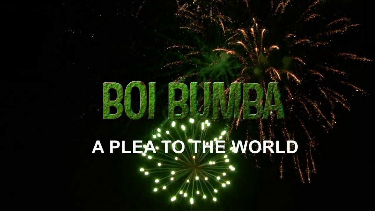 Boi Bumba