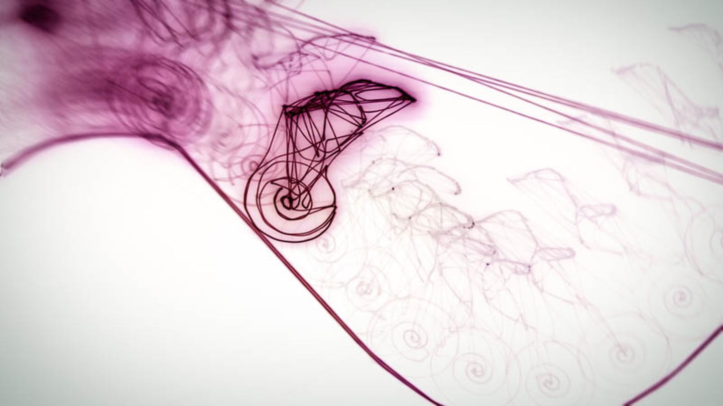 Snail Trail Animationhub