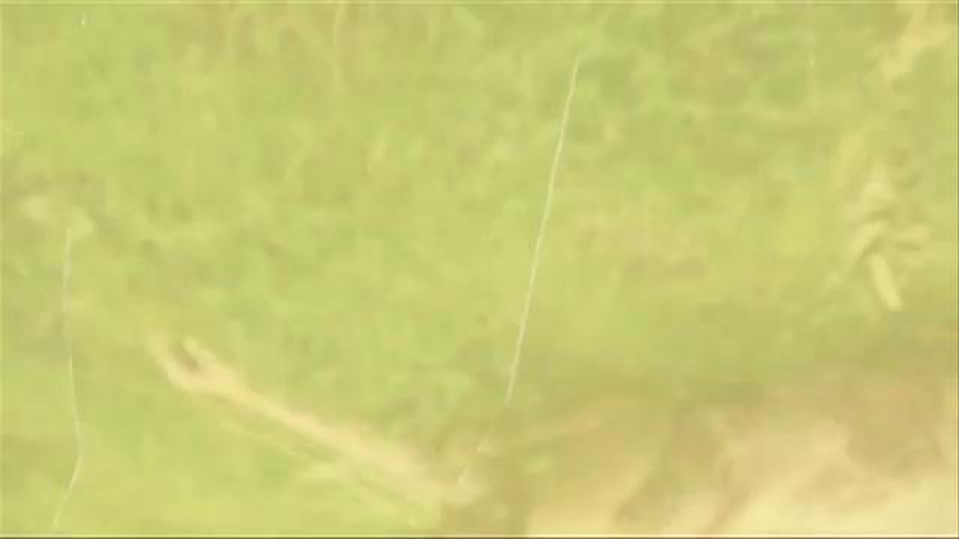 "Equals"~ Yassou Benedict