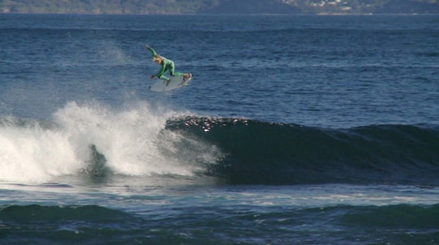 HOME WITH ACE from Matt Wilkinson