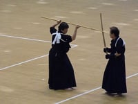 Tendoryu Naginatajutsu at 5th Naginata World Championships