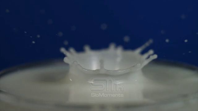 Pouring Milk from the Willow Go on Vimeo