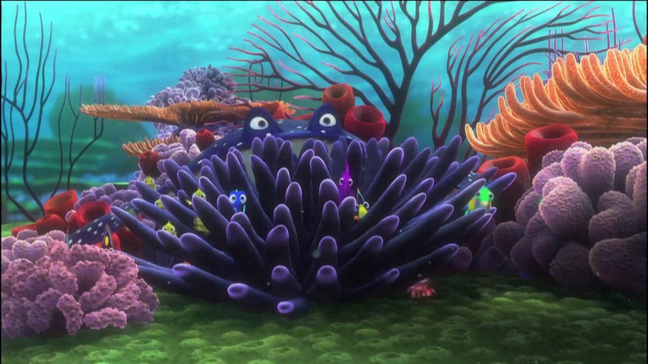 Finding Nemo On Disney Cinemagic On Vimeo