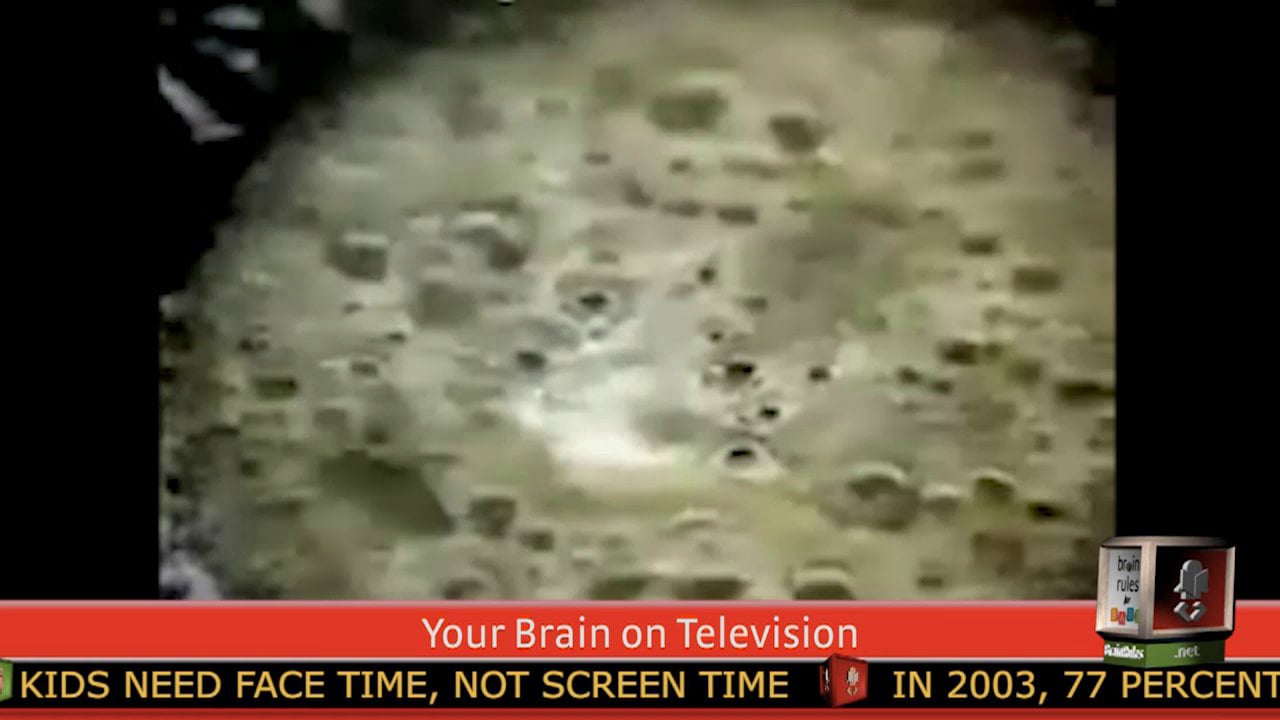 Brainy News: No TV for you