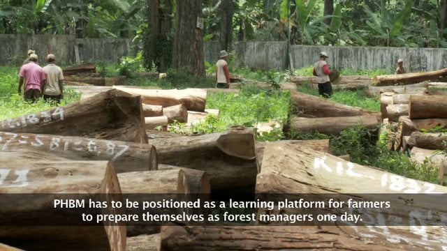 Java’s Forests, Who Does It Belong To?