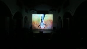 Related Embedded Video Item Thumbnail