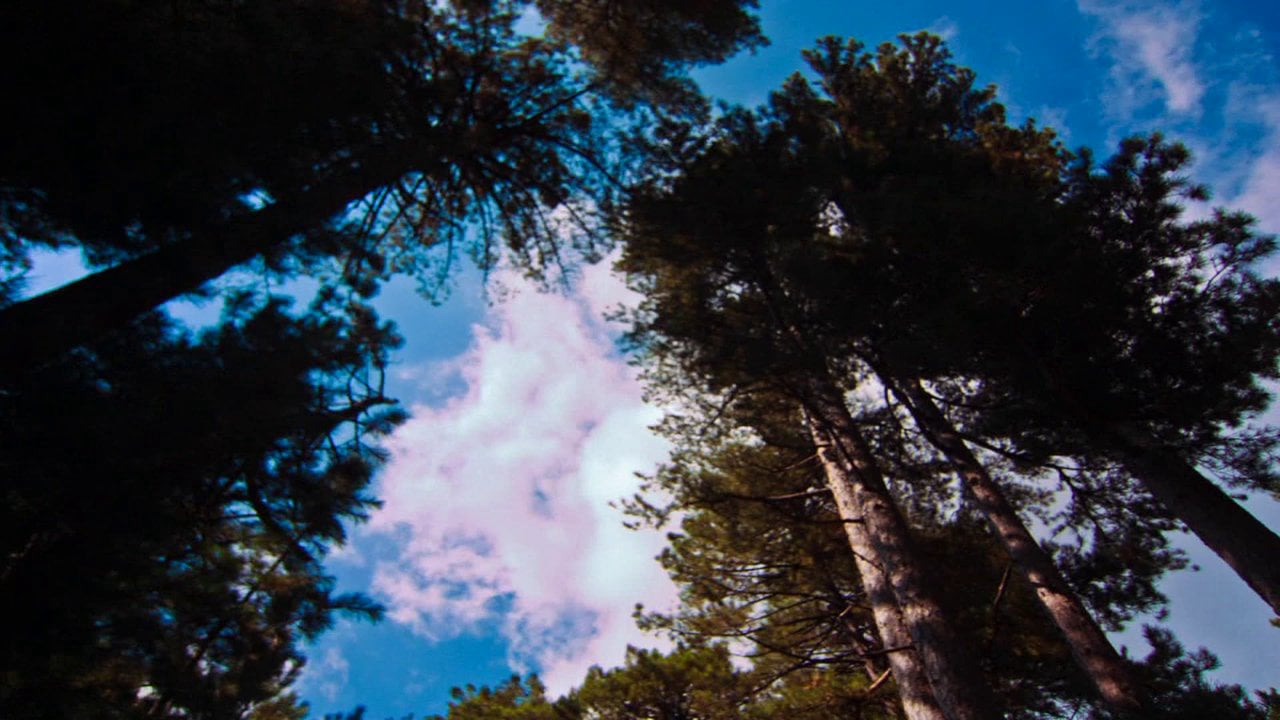 Corse Trip - 2012 [HD 1080p]