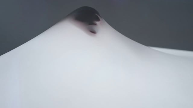 Ellie Goulding feat. Tinie Tempah - Hanging On thumbnail