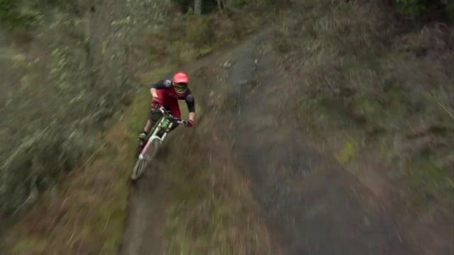 Stevie Smith – Seasons Segment from Anthill Films