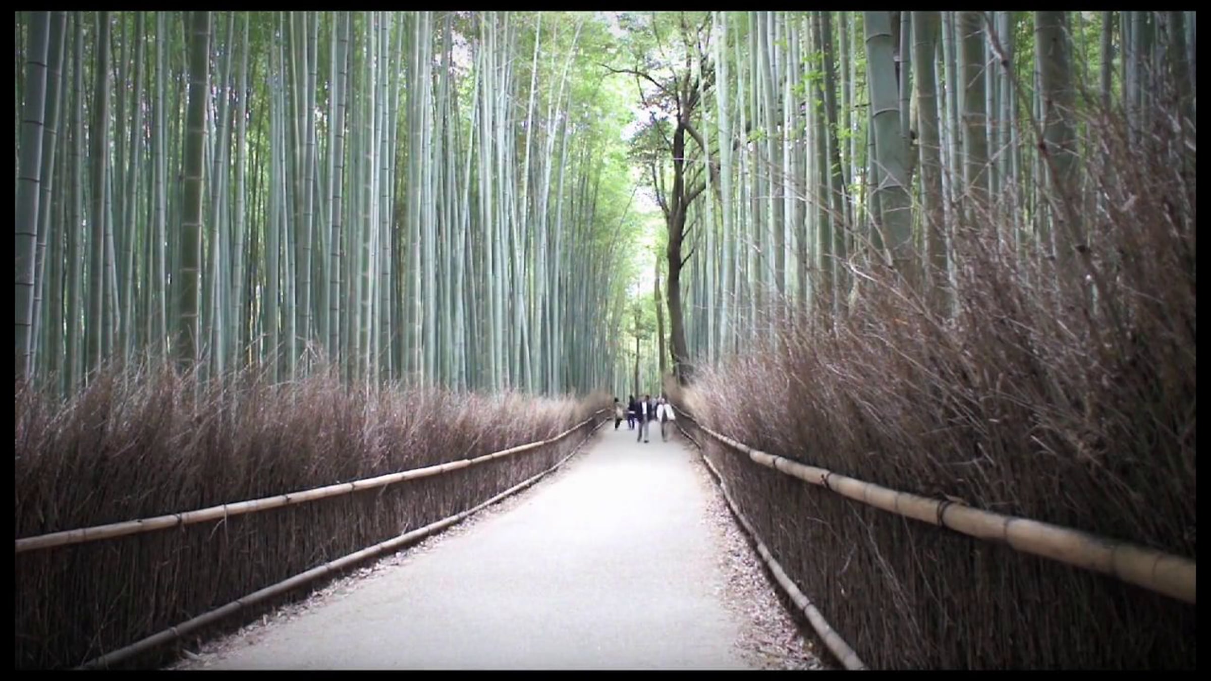 Japan | Videos & Movies on Vimeo