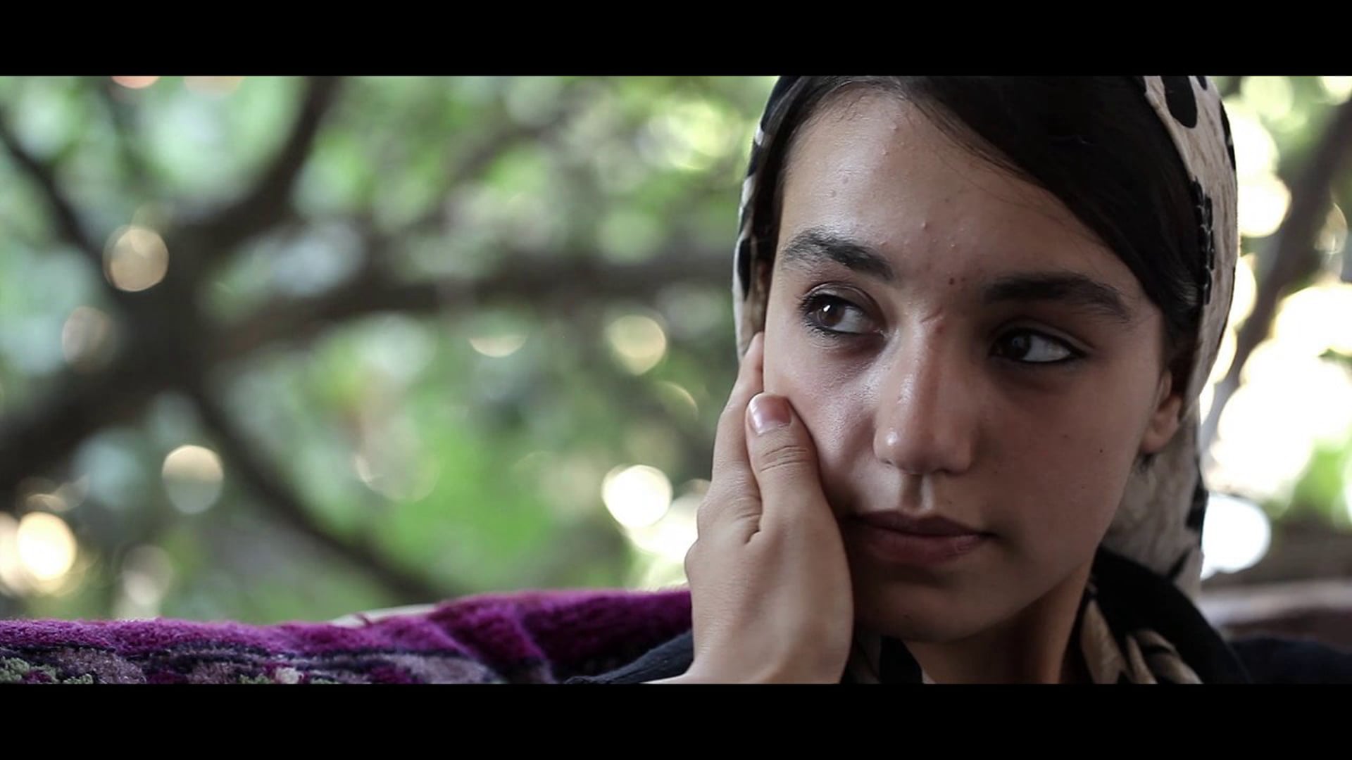 Bender / Hasat Trailer