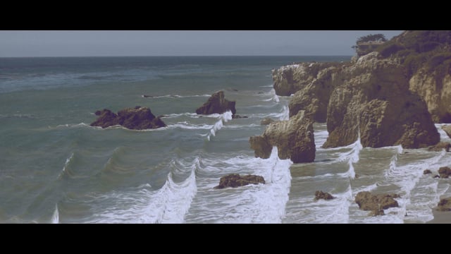 Sub Focus feat. Alpines - Tidal Wave thumbnail