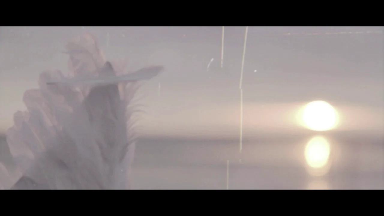 Василиса Елпатьевская-Ты Мой on Vimeo