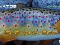 www.o2natos.com Slovakia 2012