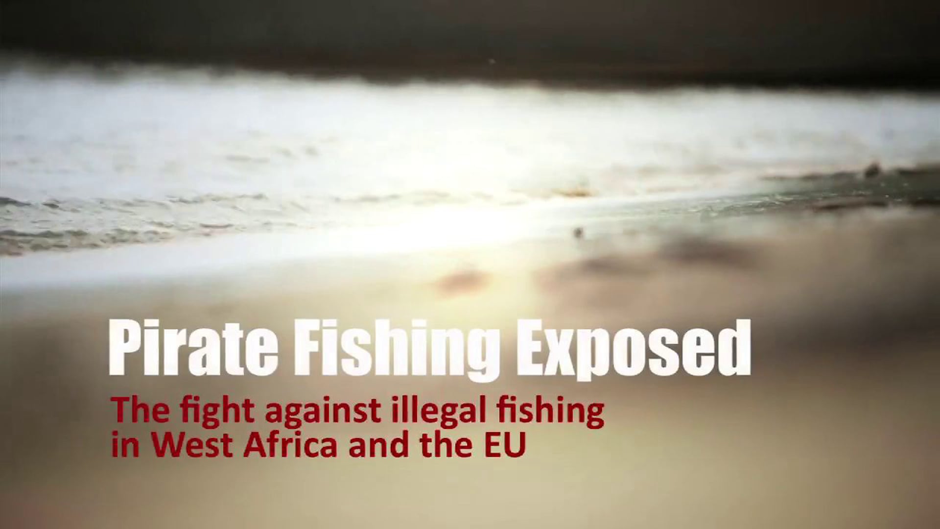 Pirate Fishing Exposed - The Fight against Illegal Fishing in West Africa and the EU (4 minute)
