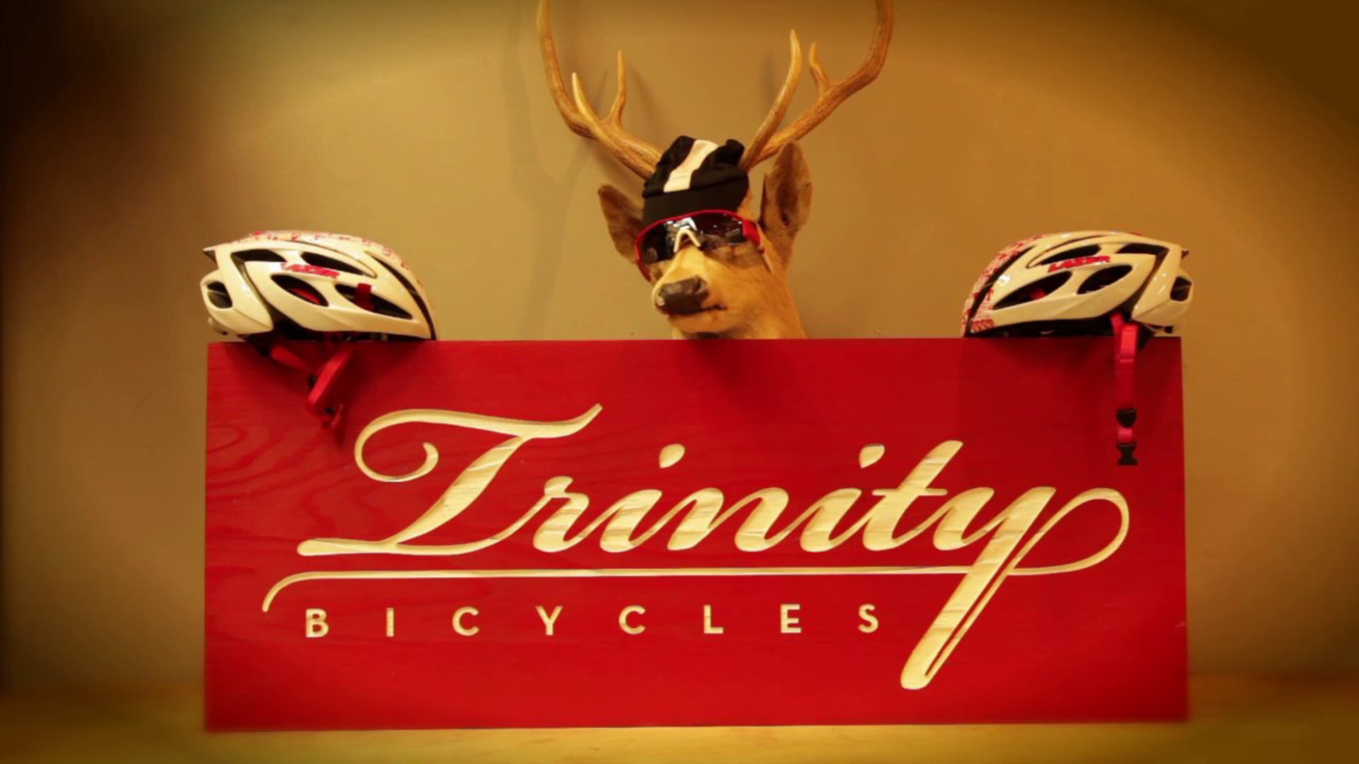 Trinity Bicycles