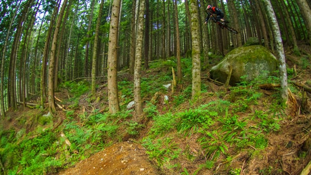 Mixed Feelings – Coastal Crew from The Coastal Crew