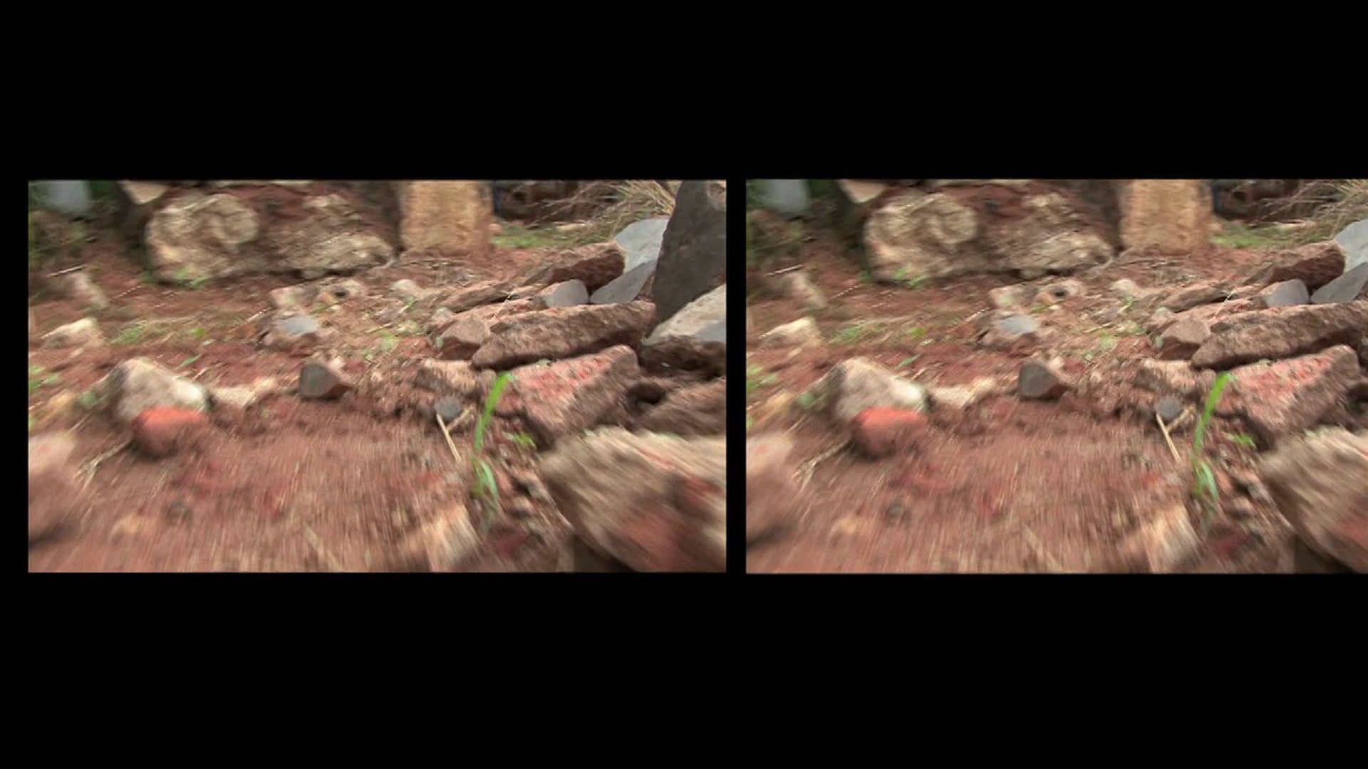 Portrait of A Decade (2011)