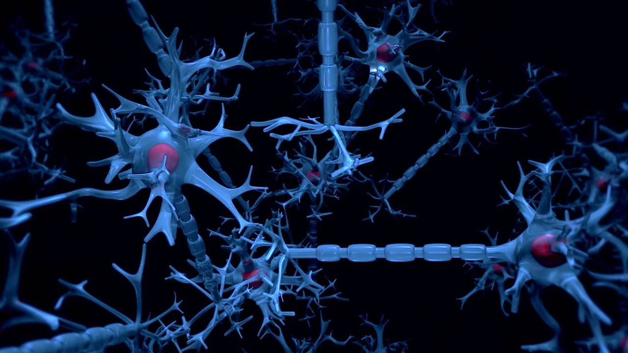 General Resources - Learn Medical Neuroscience