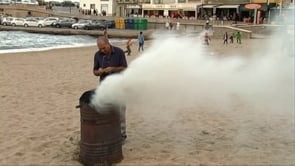Comença la temporada de castanyes