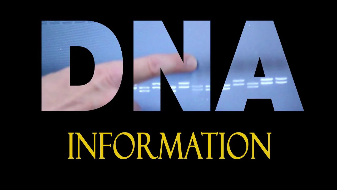 DNA Information -- Madison on Vimeo