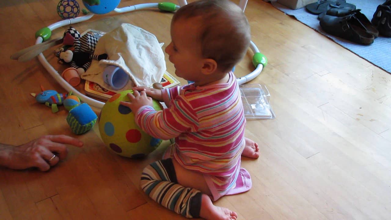 Loving his new ball (just before pooping on the kitchen floor) 8