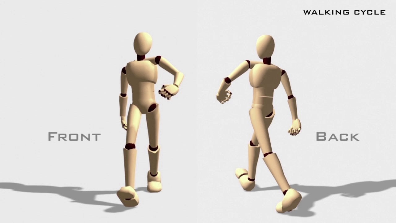 3D Animation - Walk, Run & Jump Cycle on Vimeo