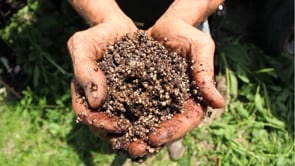 Gaia Soil | Greener Media