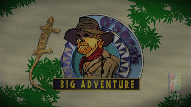 "O'Shea's Big Adventure Specials" - Tease