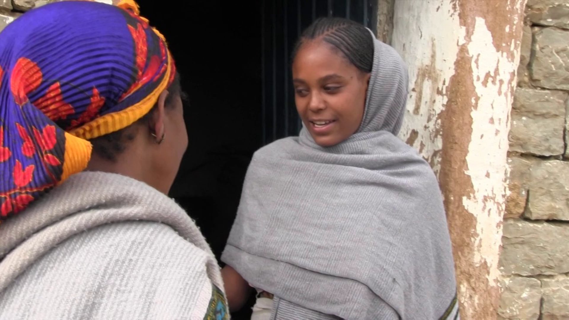 Iris Fistula Project